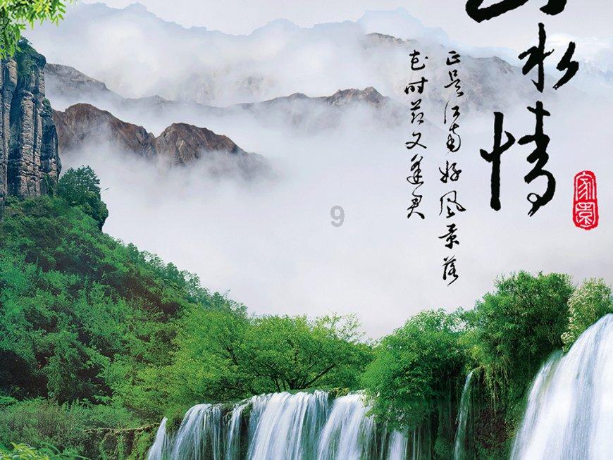 诱捕小浣熊